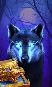 Book Of The Night Wolf